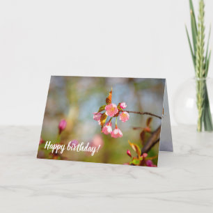 Carte Fleurs Sakura Pink Douce Au Printemps