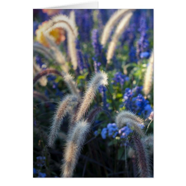 Carte Fleurs sauvages (Devant)