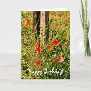 CARTE FLEURS SAUVAGES