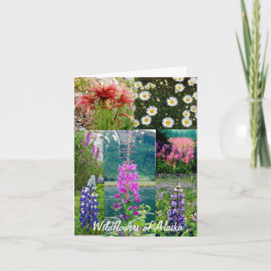 Carte Fleurs sauvages de l'Alaska