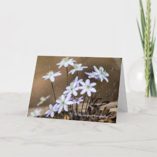 Carte fleurs sauvages de printemps avec gouttes de pluie