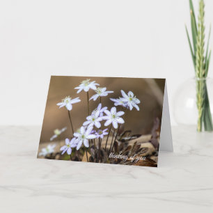 Carte Fleurs sauvages de printemps violet