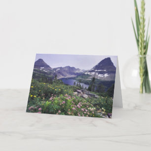 Carte Fleurs sauvages et lac caché, Shrubby