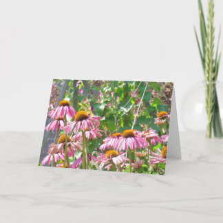 Carte Fleurs sauvages roses