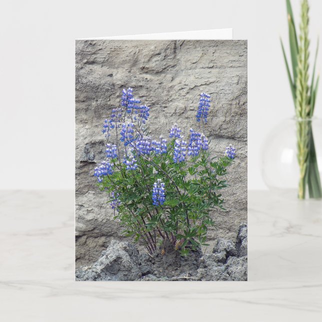 Carte fleurs sauvages violets en pierre (Devant)