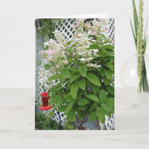 Carte Fleurs Sur Trellis & Hummingbird Feeder
