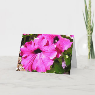 Carte Fleurs Ver 2.0