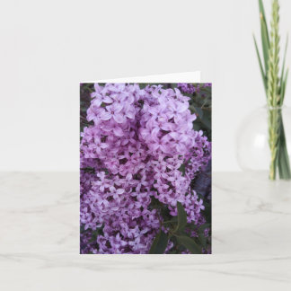 Carte Fleurs violettes Lilac Photographie