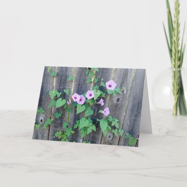 Carte Fleurs violettes poussant dans la clôture sympathi (Devant)