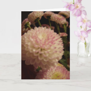 Carte Fleurs Zinnia roses