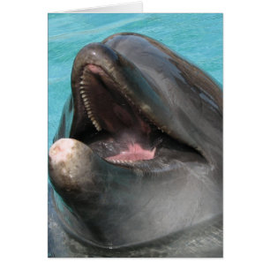 Carte Flipper