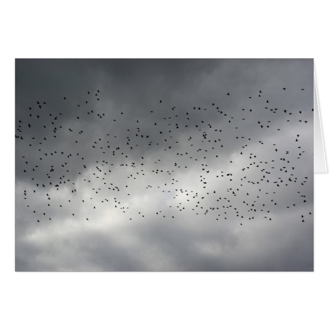 Carte Flock (Devant horizontal)