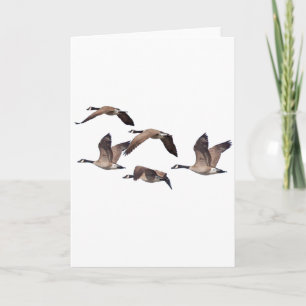 Carte Flock of wild geese