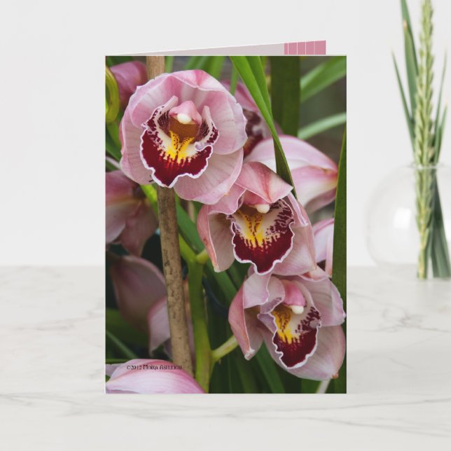 Carte Floraison de 3 dames roses (Devant)