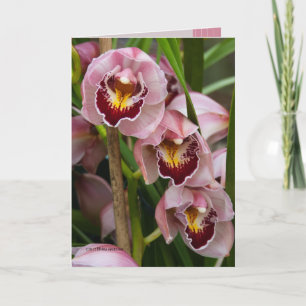 Carte Floraison de 3 dames roses
