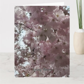 Carte Floraison printanière
