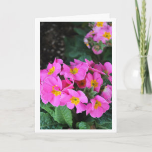 Carte Floral rose - anniversaire de belle-soeur