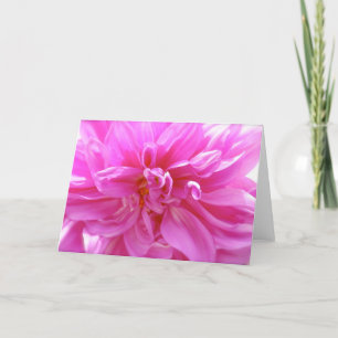 Carte florale blanche rose Dahlia