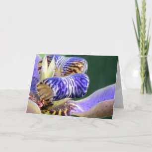 Carte Florale Blue Iris