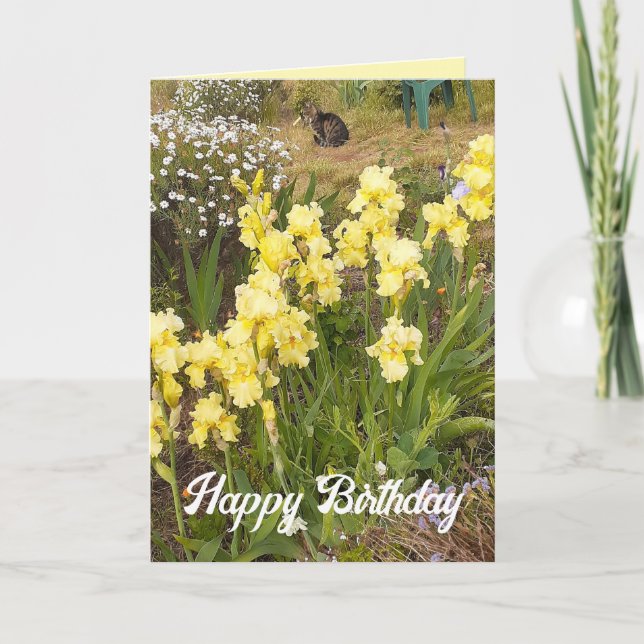 Carte florale de fleur de chats et d'Iris jaunes (Devant)
