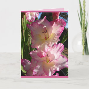 Carte florale de Glaïeuls roses de jardin de campa