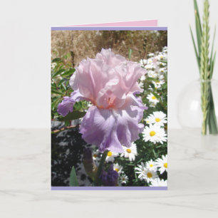 Carte florale d'Iris pourpre de Cottage Garden