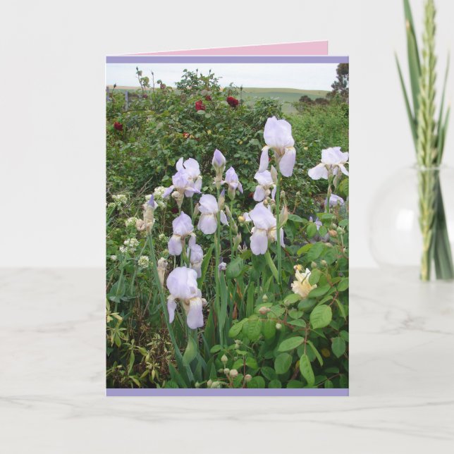 Carte florale d'iris violet de jardin de campagne (Devant)