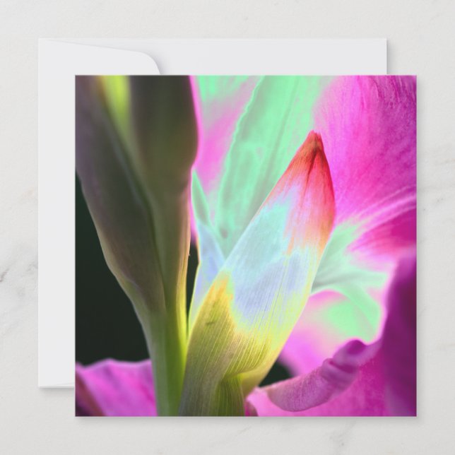 Carte florale en blanc style Miami (Devant)