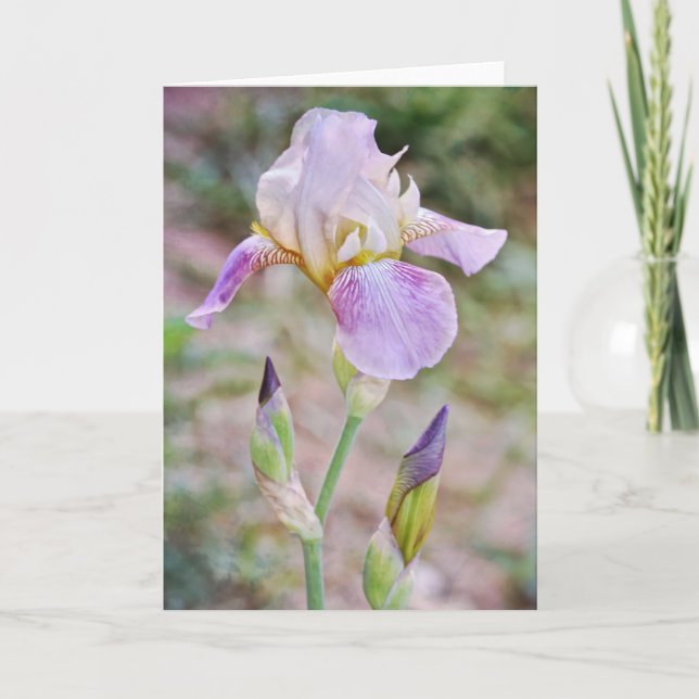 Carte Florale Iris Flowers Pâtés Violets (Devant)