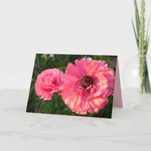 Carte florale rose Rannunculus Spring