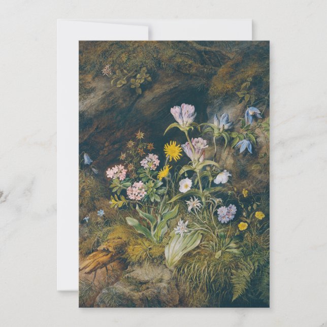 Carte Flore alpine | Theodor Petter (Devant)