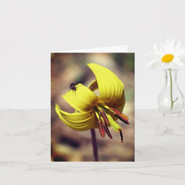 Carte Flore De Truite Lily Et Ami (Petite plante)
