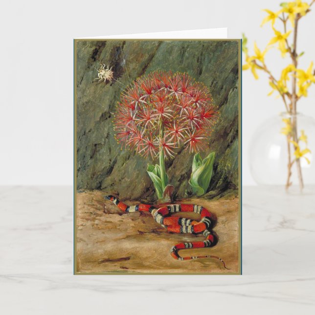 Carte Flore Serpent et araignée de corail impériale (Fleur jaune)