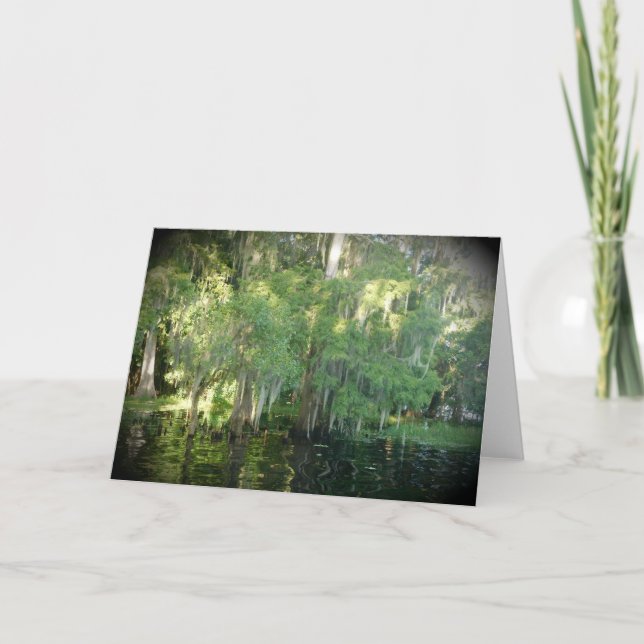 Carte Floride Cypress Trees Note - Vide (Devant)