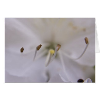 Carte flottante
