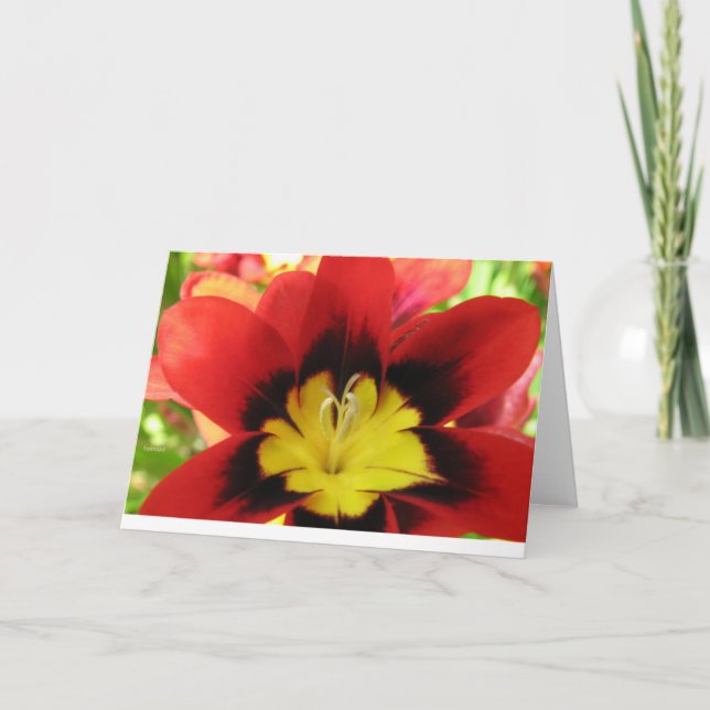 Carte Flower1 (Devant)