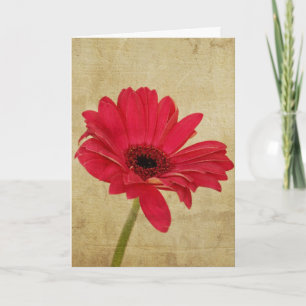 Carte Flower Gerbera Rouge