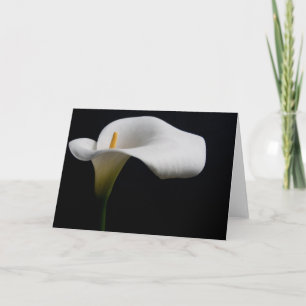 Carte Flowers (homonymie)   White Calla Lily