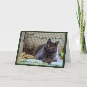 Carte Fluffy gris sur chaise