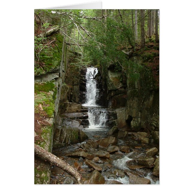 Carte Flume (Devant)