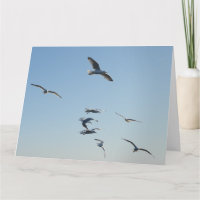 Flux Seagull Ajouter son propre texte