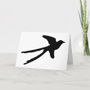 Carte FLYCATCHER de Scissortail