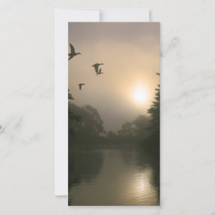 Carte Flying Mallards and Morning Fog