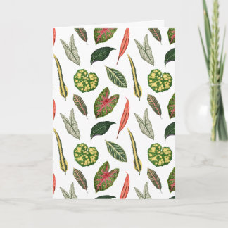 Carte Folded Greeting Card