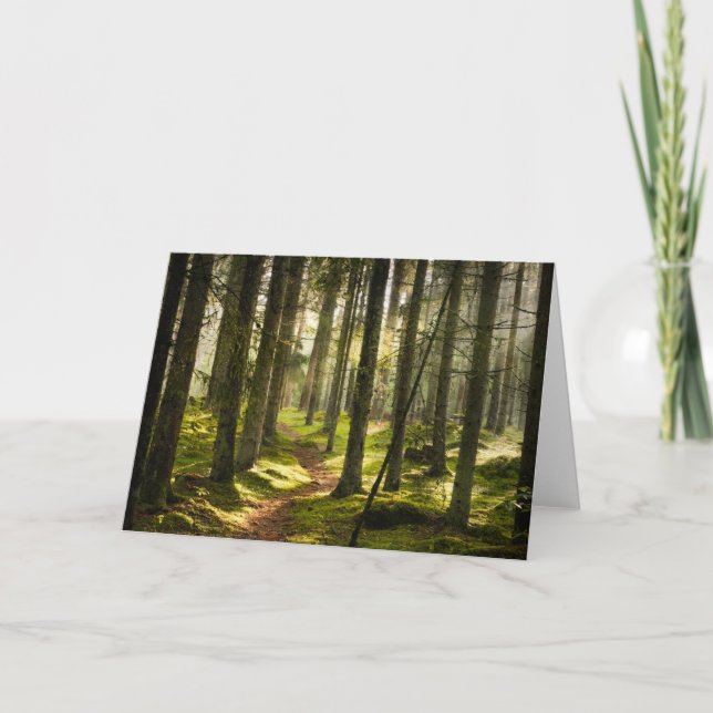 Carte Forests | Boreal Forest Sweden (Devant)