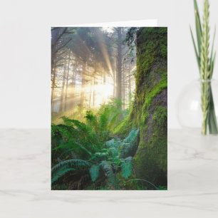 Carte Forêt de la côte pacifique, Oregon