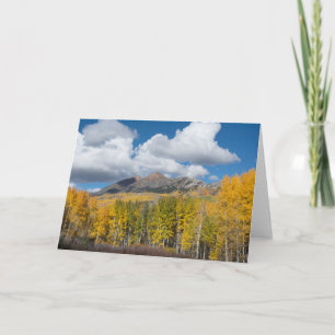 Carte Forêt nationale de Gunnison, Colorado