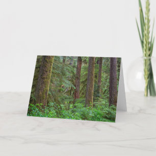 Carte Forêt nationale de Willamette   Oregon