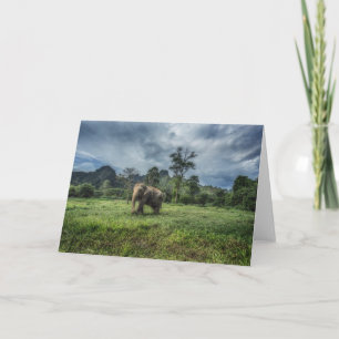 Carte Forêt   Parc national de Kao Sok