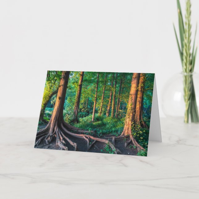 Carte Forêt | Végétation et forêt (Devant)